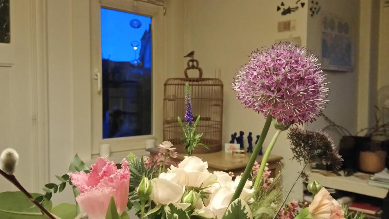 Rachel Bed & Breakfast Brugge Dış mekan fotoğraf