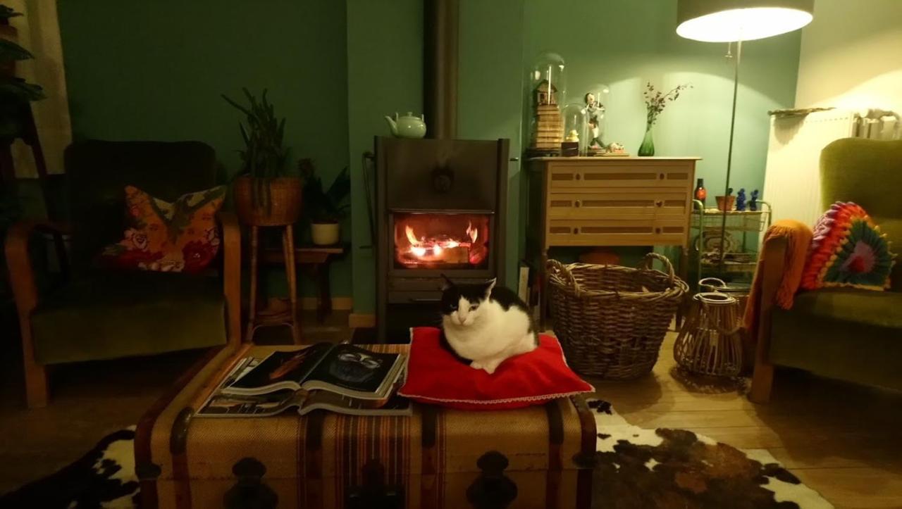 Rachel Bed & Breakfast Brugge Dış mekan fotoğraf
