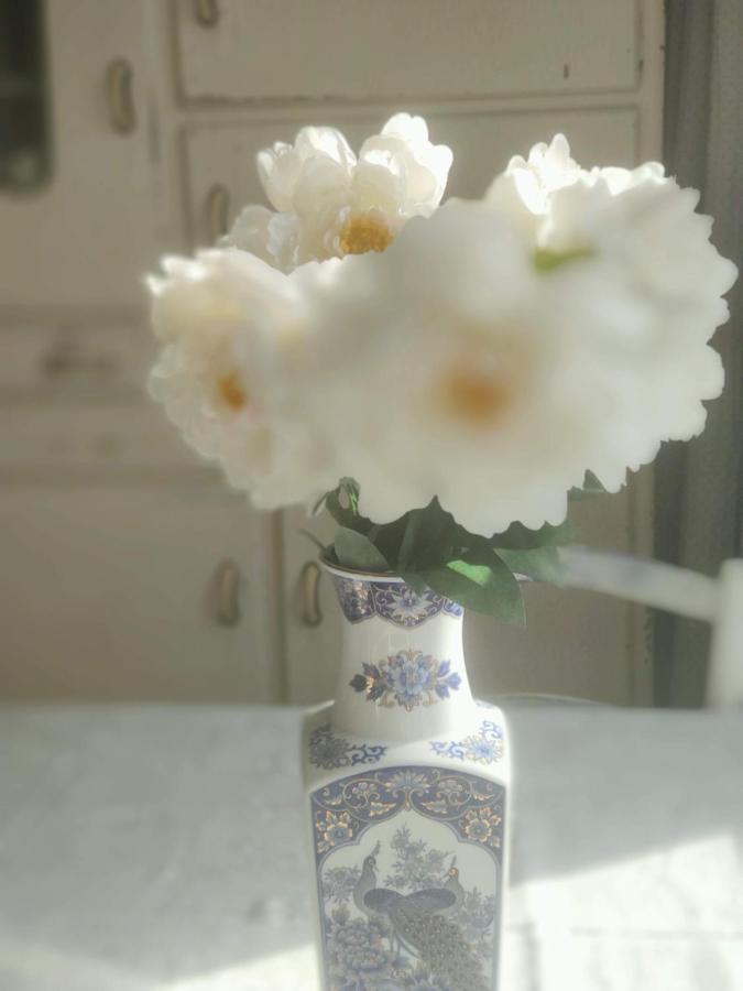 Rachel Bed & Breakfast Brugge Dış mekan fotoğraf